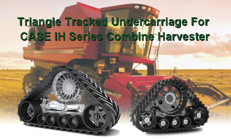 Triangle Crawler 4.jpg