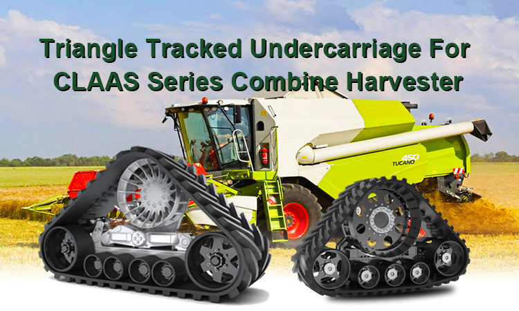 Triangle Crawler 1.jpg